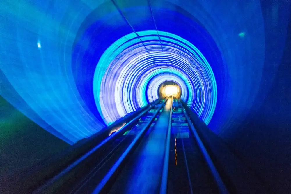 Bund Sightseeing Tunnel One Way Ticket Adult
