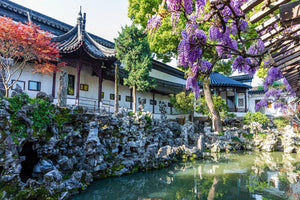 Scenic view of Lion Grove Garden in Suzhou with traditional Chinese architecture, blooming wisteria, unique rockeries, and a still pond reflecting the serene landscape.