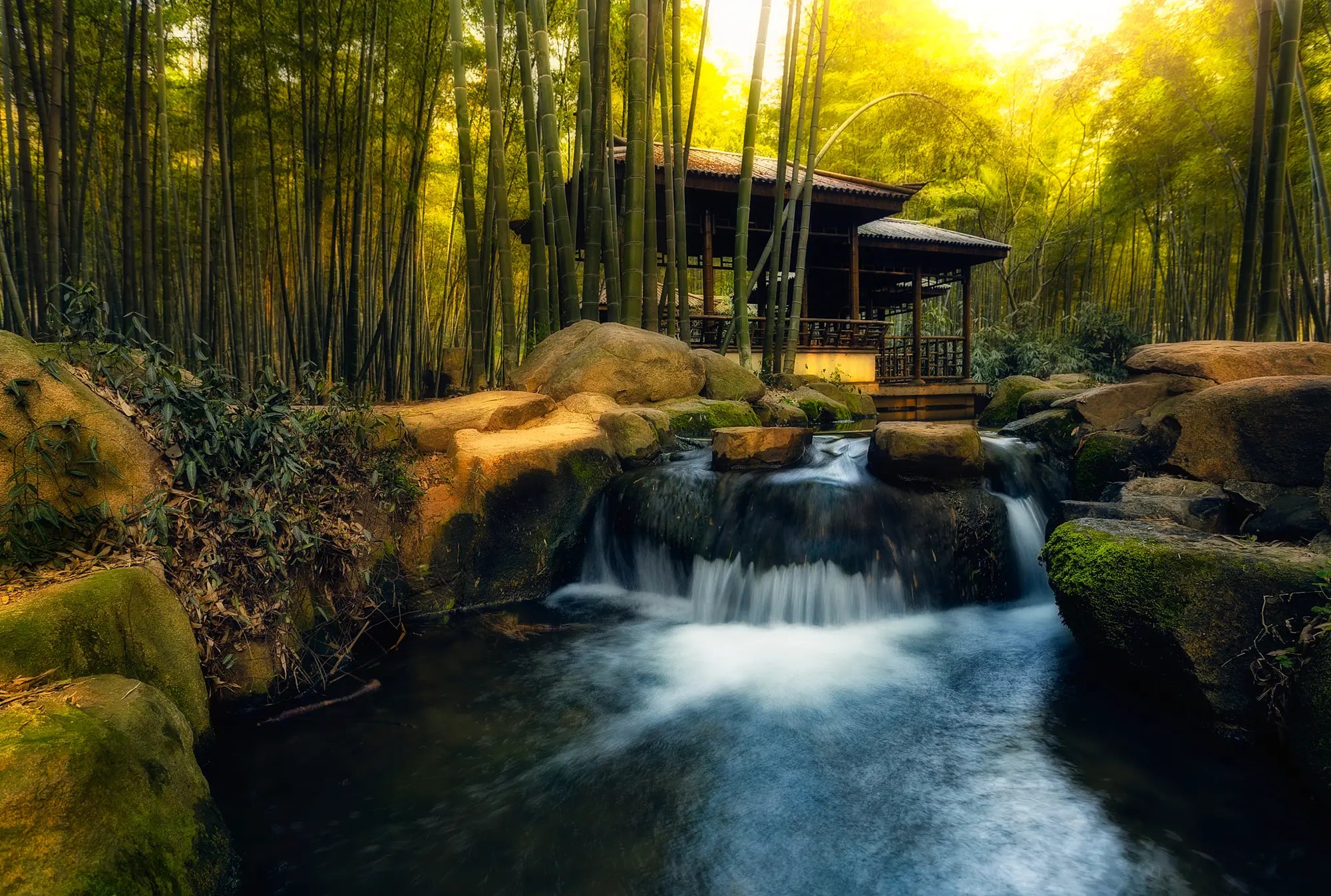 A peaceful creek flowing through bamboo forest with a traditional pavilion at Tiger Hill, Suzhou