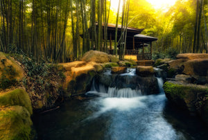 A peaceful creek flowing through bamboo forest with a traditional pavilion at Tiger Hill, Suzhou