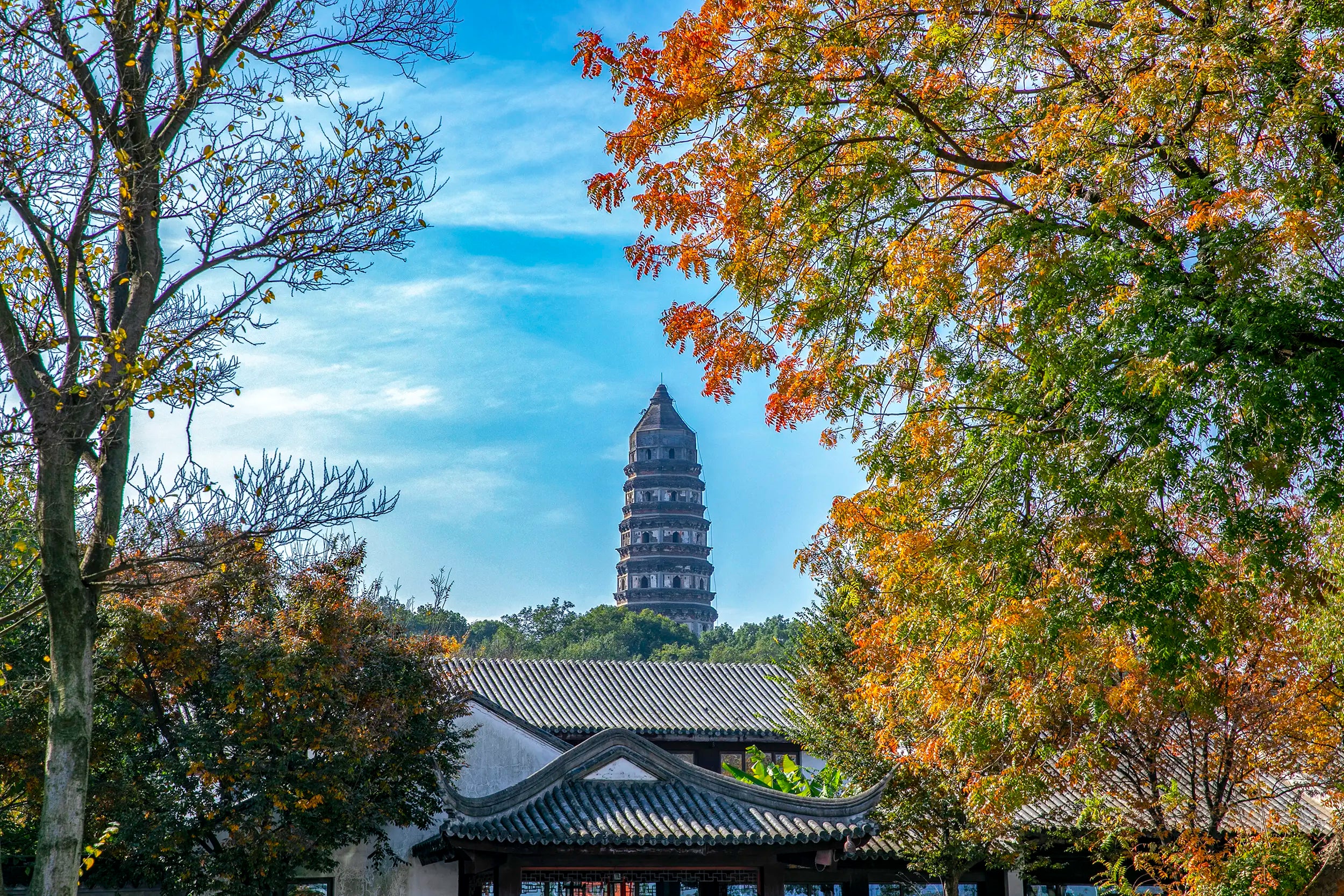 Distant view of the leaning Tiger Hill Pagoda surrounded by lush greenery in Suzhou