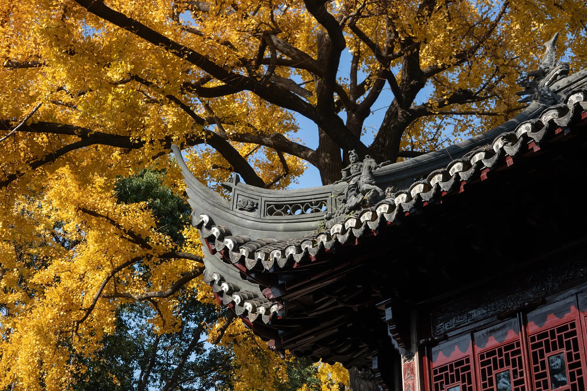 Traditional Chinese roof eaves inside Yuyuan Garden with an ancient tree in the background