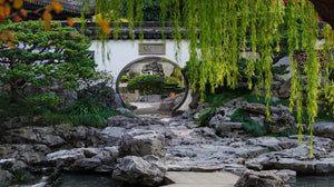 Winding path through lush greenery in Yuyuan Garden, offering a tranquil escape