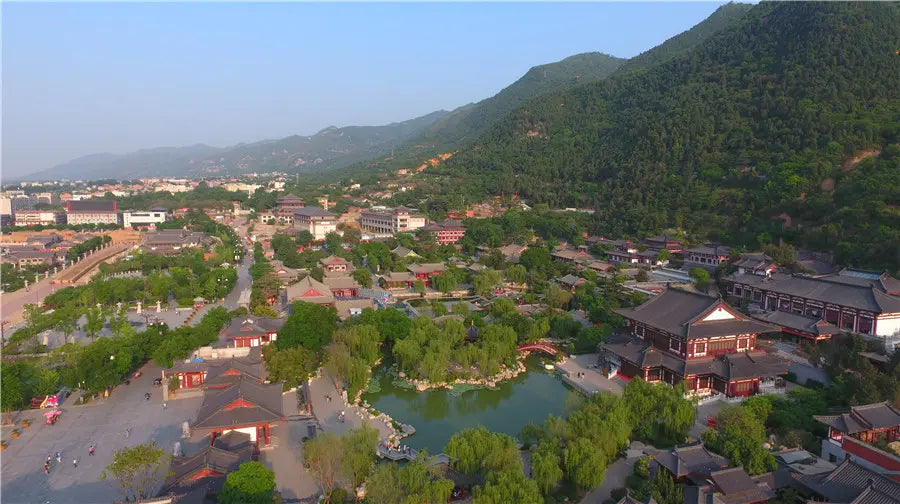 Huaqing Palace Admission ticket (valid for 2 days) Adult (Non-Mainland Chinese Residents)
