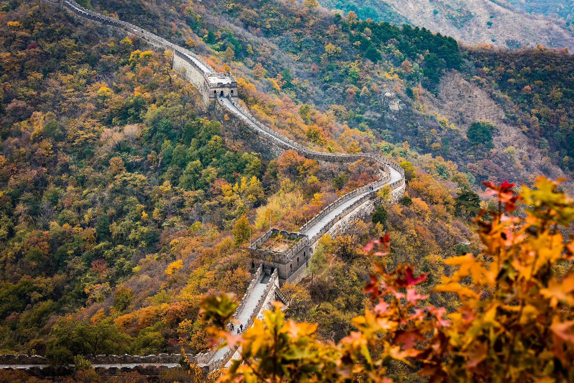 Mutianyu Great Wall Postcard Ticket Adult