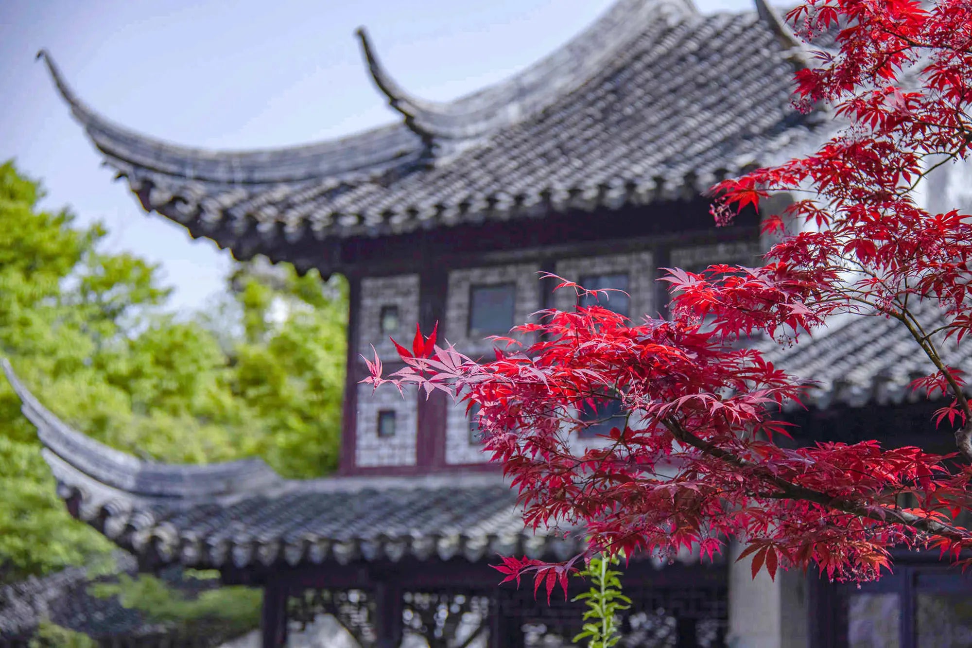 Lingering Garden(Liuyuan Garden) Entrance Ticket Adult ( Non-Mainland Chinese Residents)