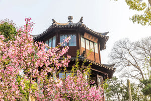 Fucuige Pavilion in the Humble Administrator’s Garden, Suzhou – a classical Chinese structure known for its elegant wooden framework and distinctive roof design.