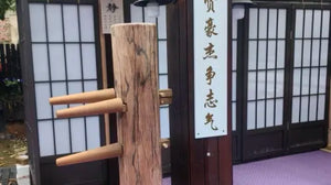 Participants learning traditional Chinese martial arts in English