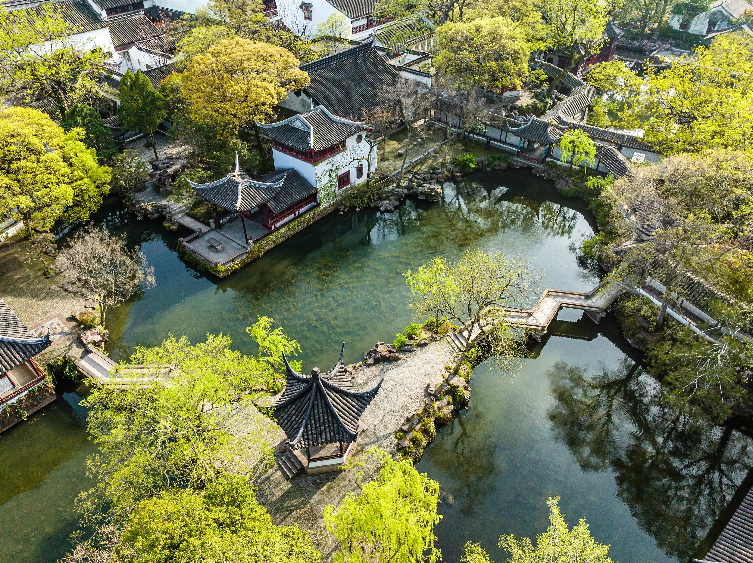 Aerial spring view of the Humble Administrator’s Garden (Zhuozhengyuan) in Suzhou, featuring a blooming red-leaf plum tree with white and red blossoms. The delicate flowers contrast beautifully with the classical Chinese architecture in the background, with black-tiled roofs and red columns. This serene scene captures the elegance and renewal of spring in one of China's most famous classical gardens.