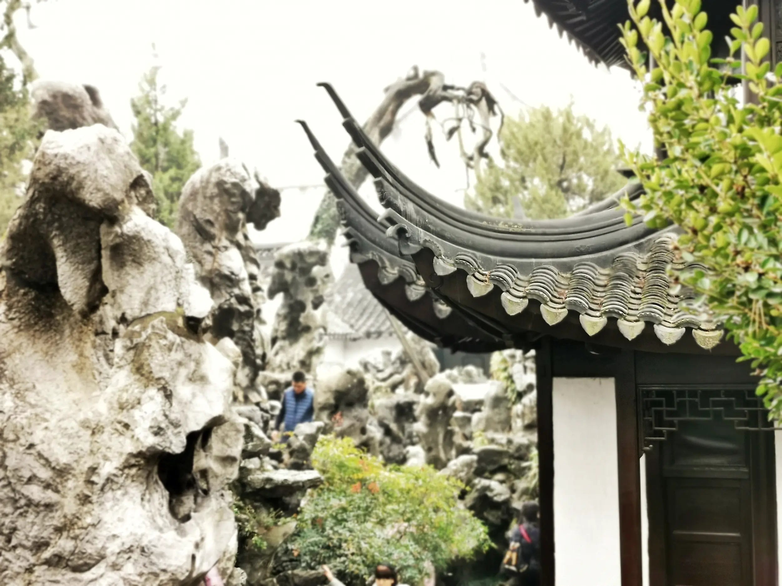 Taihu rocks surrounded by classical Chinese architecture in Suzhou’s Lion Grove Garden, highlighting intricate stone formations and serene traditional design.