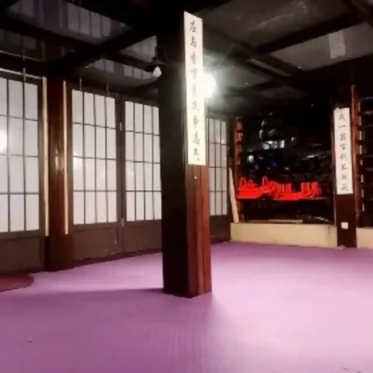 Shanghai Wing Chun Experience(Per.Person)